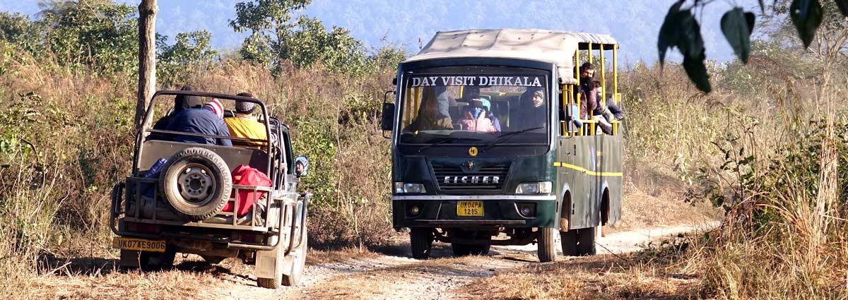 Flora & Fauna In  jim corbett national park India