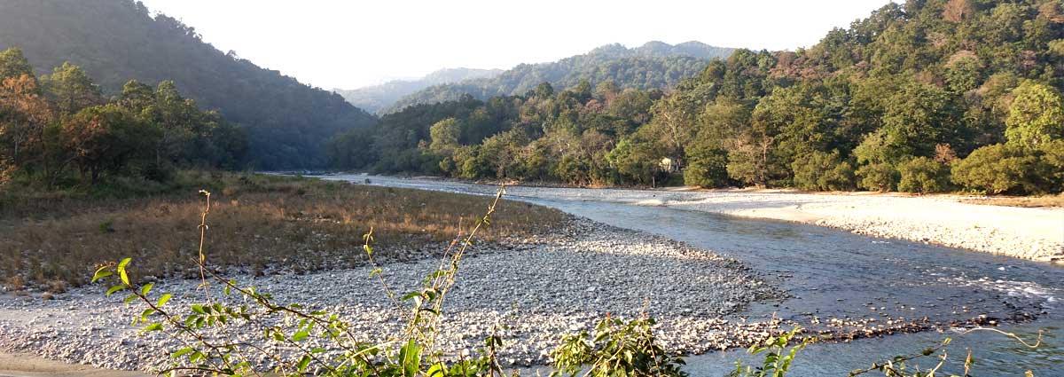 Rivers At jim corbett national park India