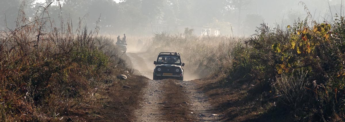 Freequently Asked Questions (FAQs) jim corbett national park India Freequently Asked Questions (FAQs) jim corbett national park India