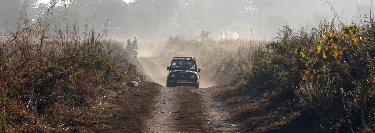 Flora & Fauna In  jim corbett national park India